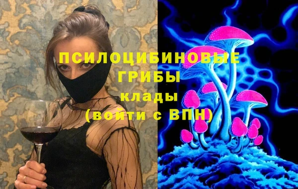 мдпв Верхний Тагил